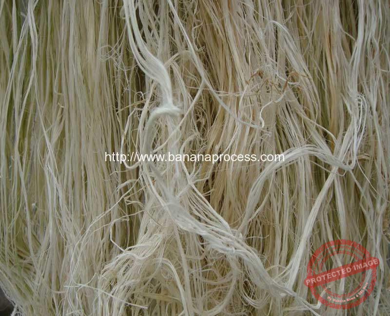 Automatic-Banana-Tree-Stem-Fiber-Extracting-Machine-for-Sale
